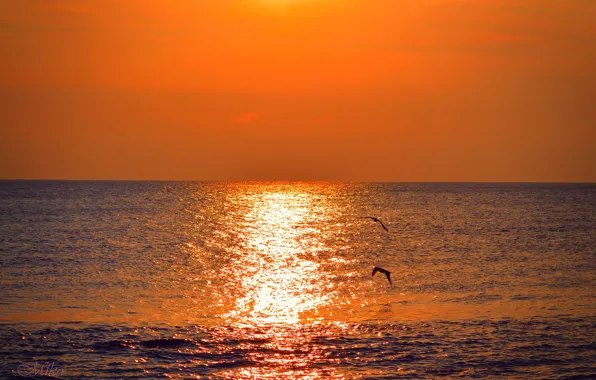 Закат, Море, Sunset, Sea