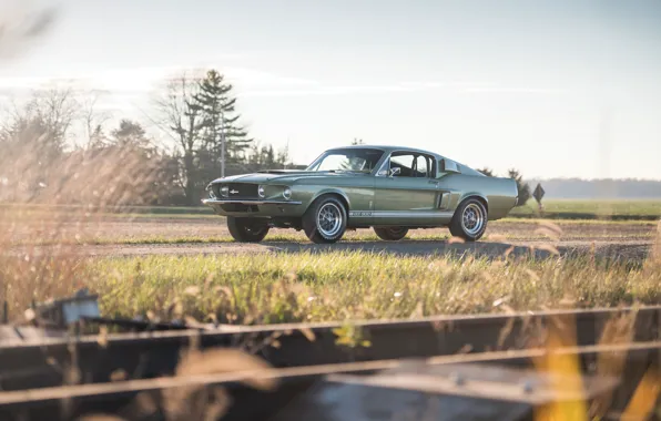 Mustang, Ford, Shelby, GT500, 1967, musclecar
