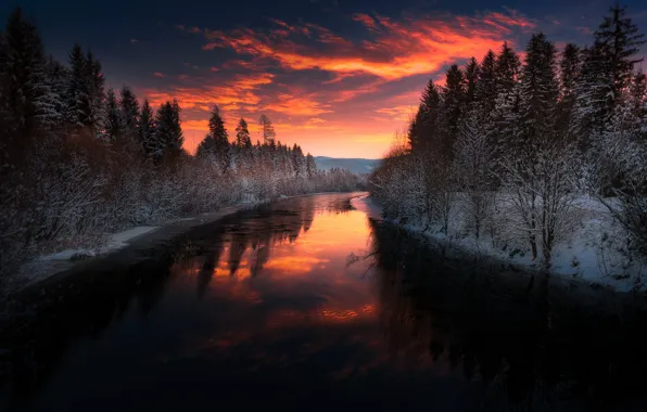 Картинка зима, лес, облака, снег, закат, вечер, сумерки, водоем