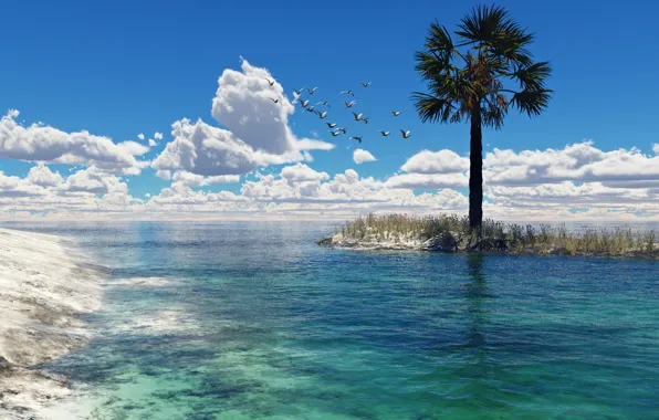Картинка море, вода, облака, птицы, пальма, чайки, арт, островок