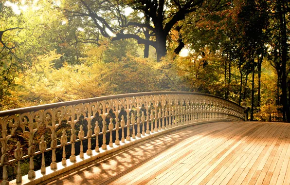 Мост, Осень, Деревья