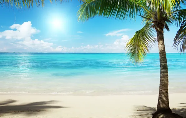 Картинка песок, море, вода, солнце, пальма, пальмы, океан, берег