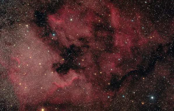 Картинка туманность, Лебедь, Северная Америка, в созвездии, эмиссионная