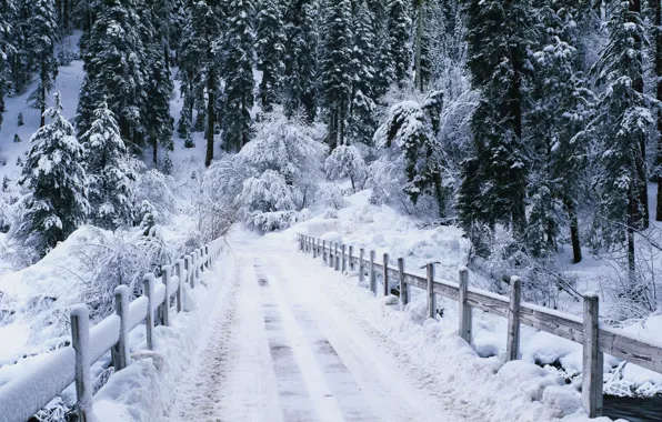 Картинка зима, дорога, лес, речка, мостик