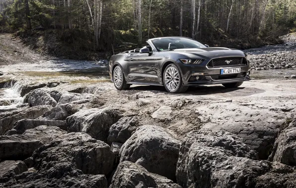 Mustang, Ford, мустанг, кабриолет, форд, Convertible, 2015, EU-spec