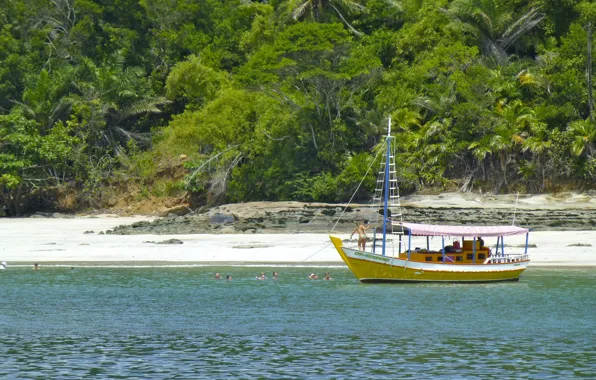Nature, Landscapes, Brazil, Bahia, South American