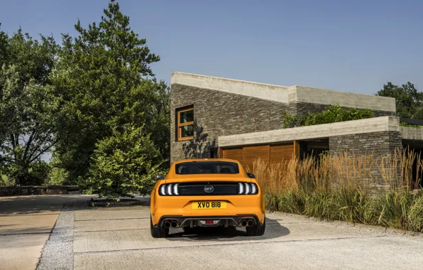 Картинка оранжевый, Ford, стоянка, 2018, корма, фастбэк, Mustang GT 5.0