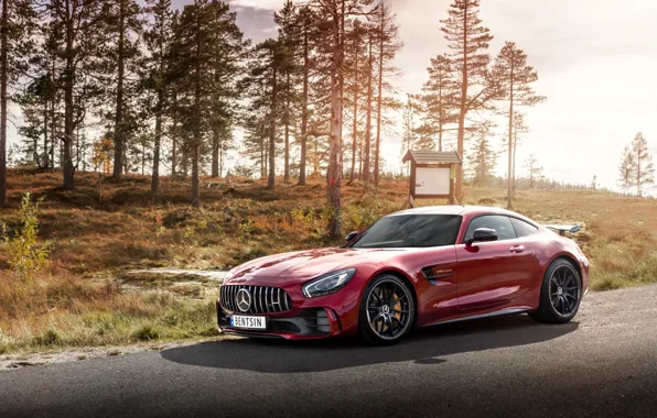 Картинка Mercedes-Benz, AMG, GT R, 2019, by Håkon Sataøen