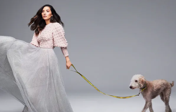 Взгляд, девушка, поза, юбка, собака, Olivia Munn