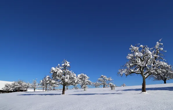 Зима, поле, снег, деревья