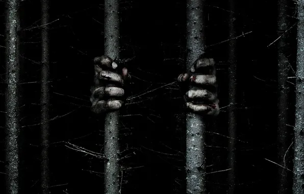 Cinema, trees, movie, fear, evil, witchcraft, hands, prison