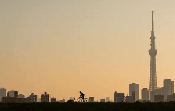 Город, утро, велосипедист, Tokyo, Higashiyotsugi 3 Chome