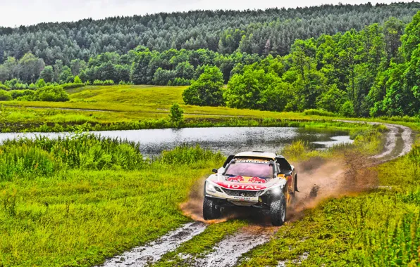 Природа, Трава, Озеро, Лес, Спорт, Скорость, Грязь, Peugeot