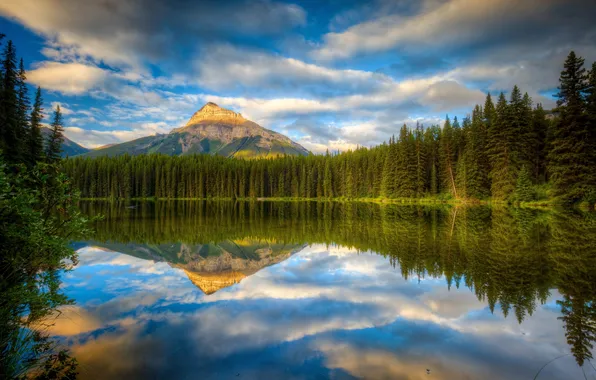 Картинка лес, озеро, отражение, гора, Канада, Альберта, Banff National Park, Alberta
