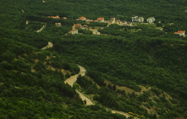 Дорога, деревья, высота, Крым