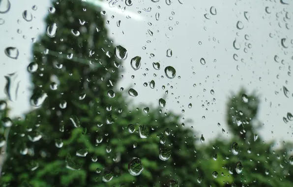 Стекло, капли, макро, дождь, Akela White
