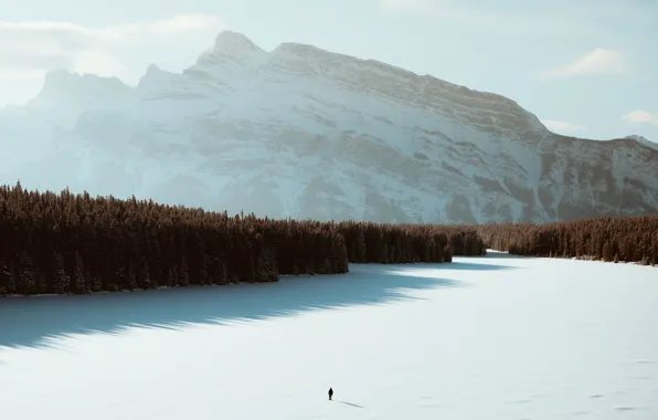 Картинка зима, лес, горы, озеро, человек