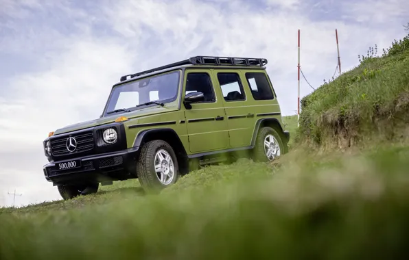 Картинка Mercedes-Benz, Трава, Gelandewagen, Mercedes-Benz G-Class, Four-wheel drive automobile, Полноприводный автомобиль