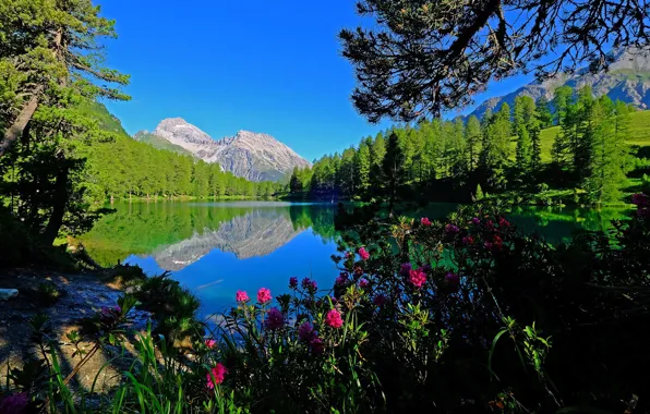Картинка горы, озеро, Швейцария