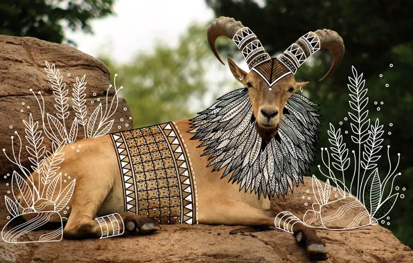 Взгляд, деревья, камни, козёл, ANIMAL DOODLES