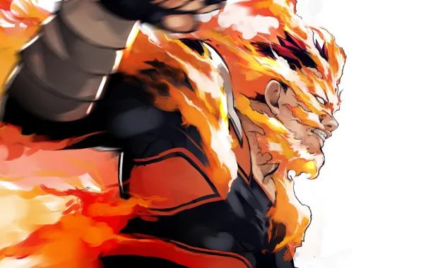 Огонь, пламя, мужик, Boku no Hero Academia, Моя геройская акадеимя, Тодороки