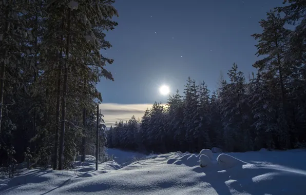 Картинка зима, лес, небо, снег, деревья, ели, сугробы, Финляндия