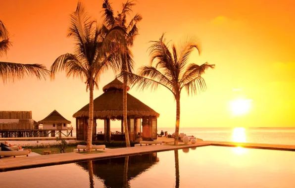 Beach, trees, sunset, water, island, maldives
