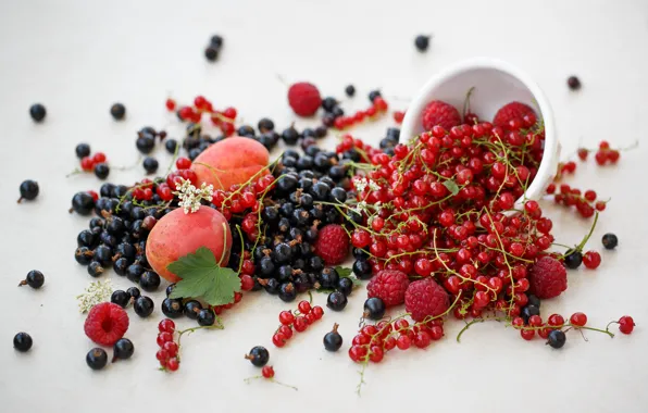 Ягоды, малина, черная, фрукты, красная, смородина, нектарин, Julia Khusainova