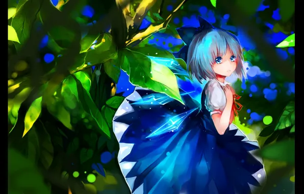 Листья, платье, фея, голубые глаза, бант, крылышки, touhou, cirno