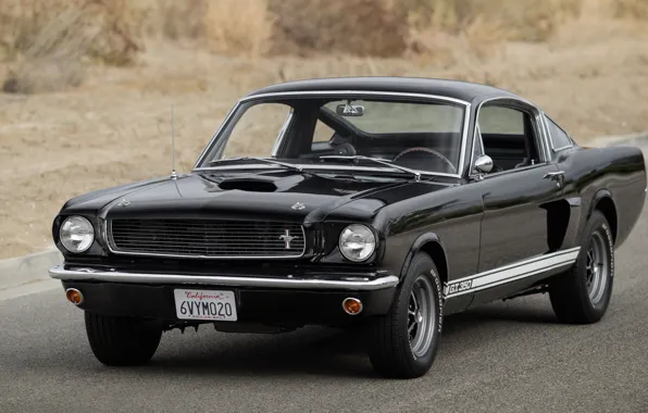 Картинка Mustang, Ford, Shelby, 1966, GT350, Форд Мустанг, 1966 Ford Mustang Shelby GT350