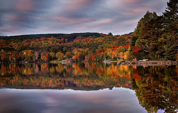 Осень, лес, озеро, отражение, Канада, Онтарио, Canada, Ontario
