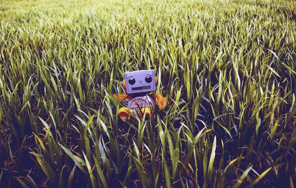 Картинка газон, робот, Трава, игрушечный