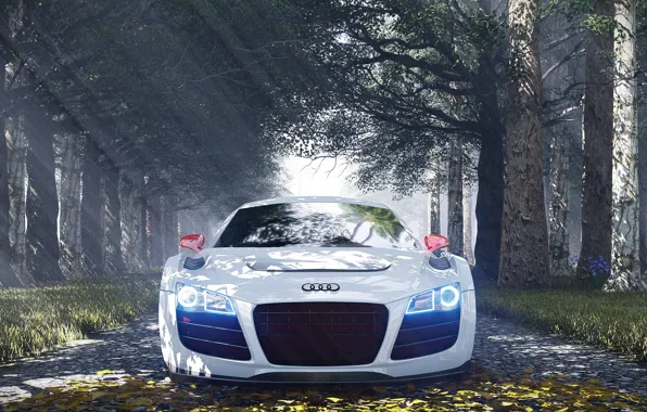 Audi, Audi R8, Special Edition