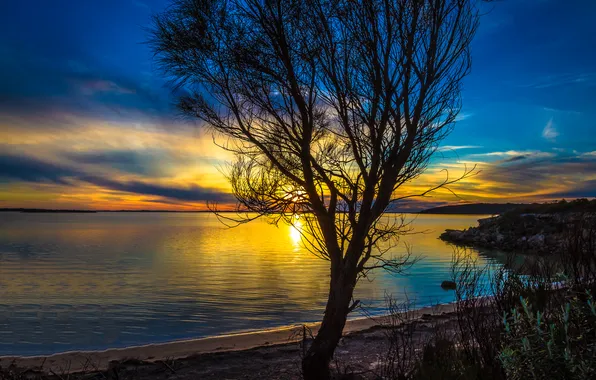 Картинка море, солнце, закат, дерево, побережье, Австралия, залив, Port Lincoln