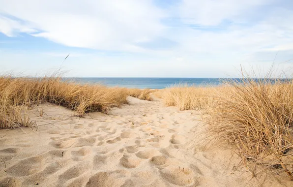 Песок, пляж, трава