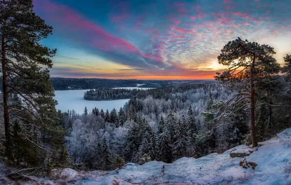 Картинка зима, снег, пейзаж, закат, природа, озеро, леса, берега