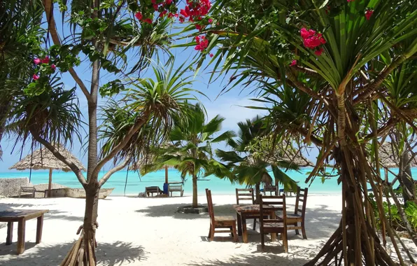 Небо, Море, Пляж, Тропики, Sky, Beach, Sea, Tropics