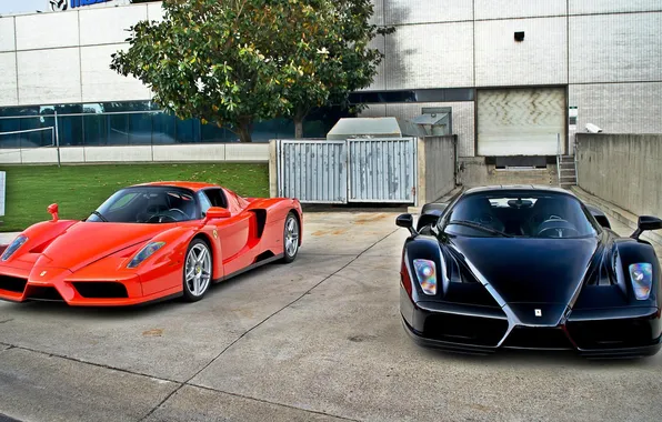 Красный, черный, Ferrari, Enzo