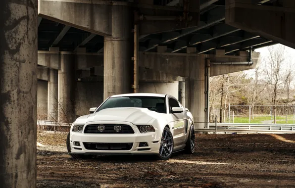 Картинка Mustang, Ford, Форд, Muscle, Мустанг, white, Car, 5.0