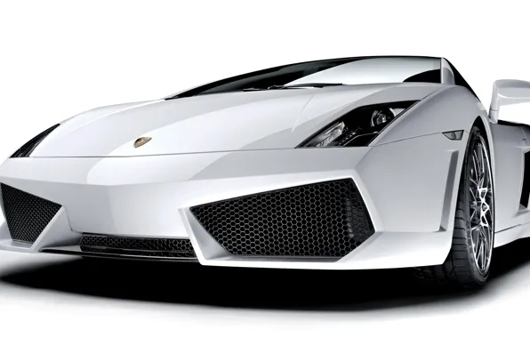 Lamborghini, Gallardo, LP560