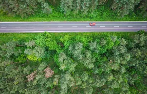 Картинка дорога, лес, трасса, красная машина