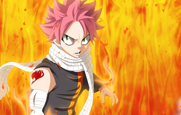 Аниме, арт, Fairy Tail, Нацу, Хвост феи