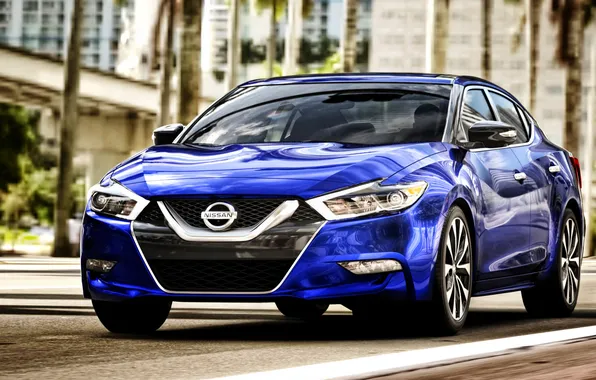 Nissan, синяя, ниссан, максима, 2015, Maxima