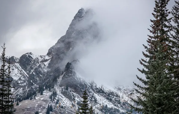 Картинка снег, горы, природа, туман, зима, деревья, небо, скалы