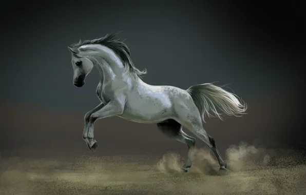 Картинка конь, лошадь, пыль, арт, белая