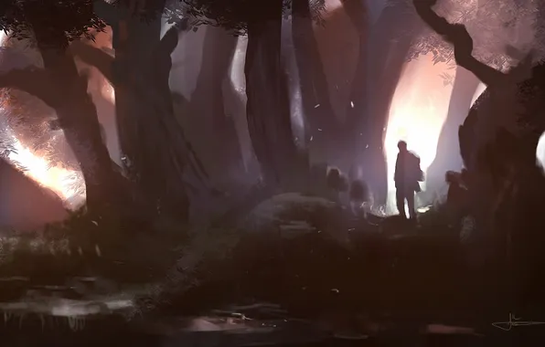 Лес, человек, арт