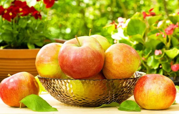 Картинка яблоки, фрукты, корзинка, листики