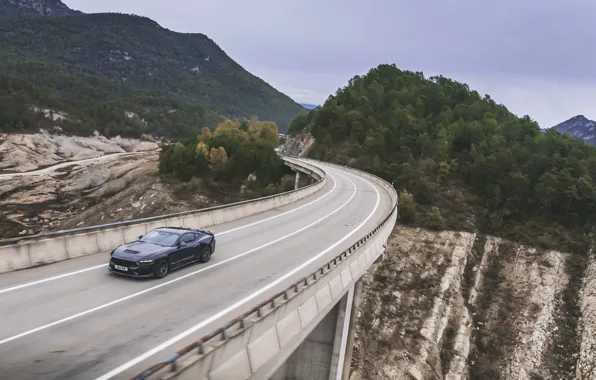 Картинка Mustang, Ford, Ford Mustang Dark Horse