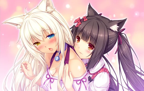 Девочки, аниме, неко, Nekopara