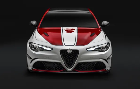 Alfa Romeo, Quadrifoglio, Giulia, 2019, Alfa Romeo Racing